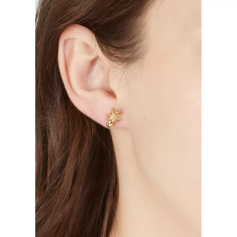 Orecchino Ragno Bugs-Vivetta Outlet